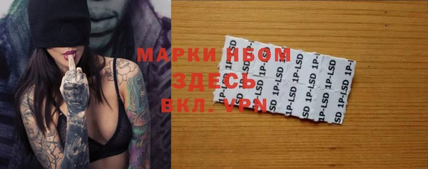 гашик Богданович