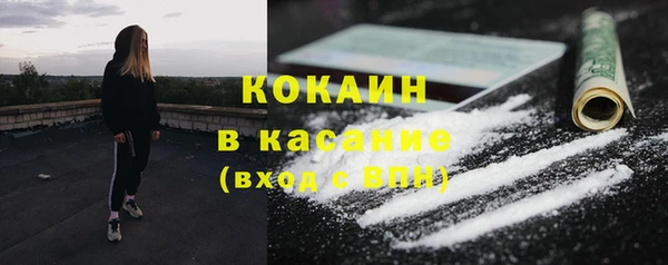 гашик Богданович