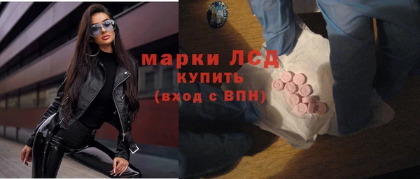 гашик Богданович