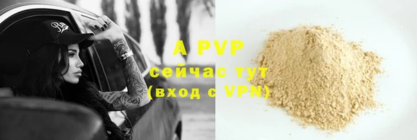 молекула духа Богородицк