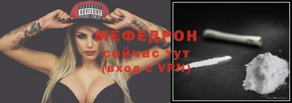молекула духа Богородицк