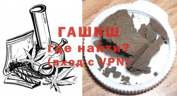 молекула духа Богородицк