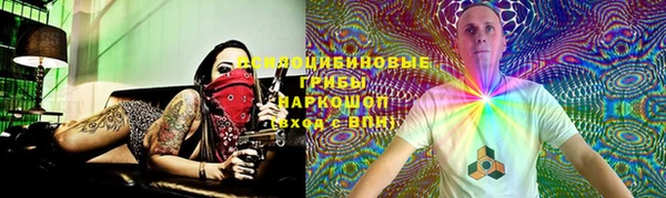 молекула духа Богородицк