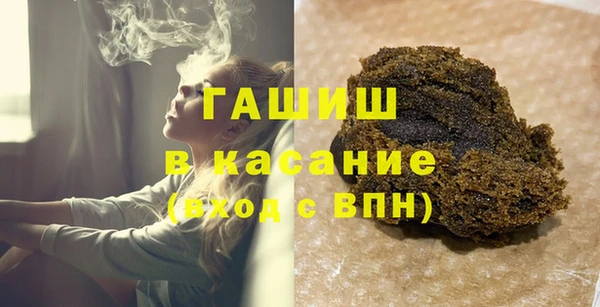 молекула духа Богородицк