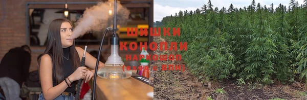 гашик Богданович