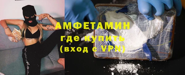 молекула духа Богородицк