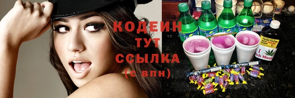 молекула духа Богородицк